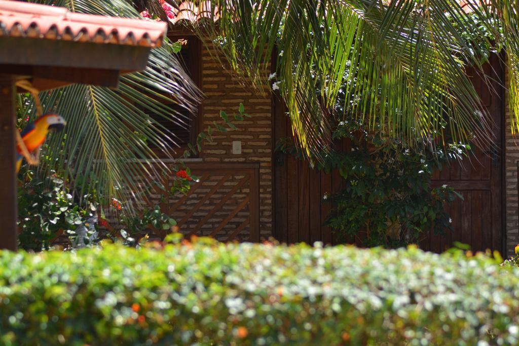 Pousada Arco Mundial Taíba エクステリア 写真
